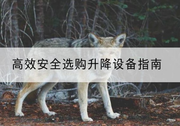 缙云升降货梯厂家推荐-*安全选购升降设备指南