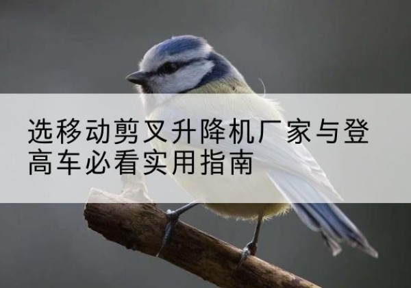 缙云电动升降机厂家-选移动剪叉升降机厂家与登高车必看实用指南
