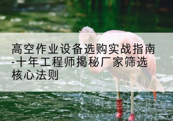 缙云剪叉式升降机厂家-高空作业设备选购实战指南-十年工程师揭秘厂家筛选核心法则