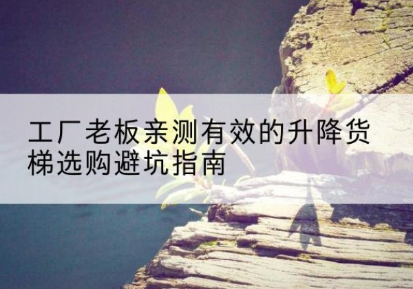 缙云升降货梯怎么选-工厂老板亲测有效的升降货梯选购避坑指南